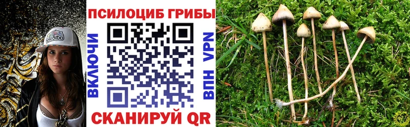 купить наркоту МЕГА сайт Галлюциногенные грибы Psilocybe Сольвычегодск